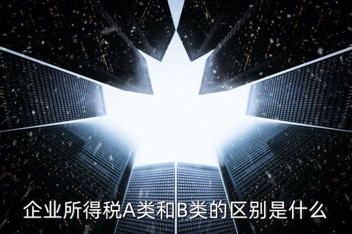 環(huán)境保護(hù)稅a類和b類什么區(qū)別，企業(yè)所得稅a類表和b類有什么區(qū)別