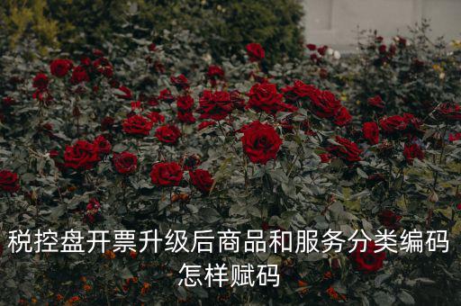 稅控盤開(kāi)票升級(jí)后商品和服務(wù)分類編碼怎樣賦碼