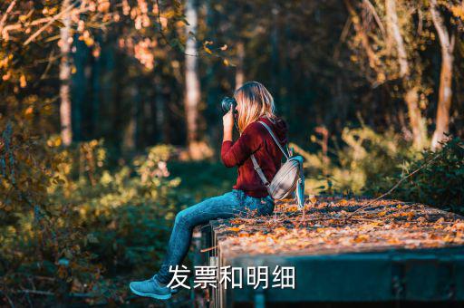 發(fā)票中的明細(xì)是什么意思，發(fā)票的明細(xì)條數(shù)控制在2000條是什么意思