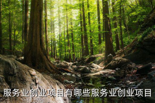 服務(wù)業(yè)有什么進(jìn)項(xiàng)，服務(wù)業(yè)營(yíng)改增哪些可以抵扣