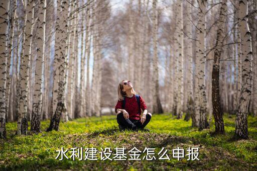 地方水利建設(shè)基金什么時(shí)間申報(bào)，水利建設(shè)基金怎么申報(bào)