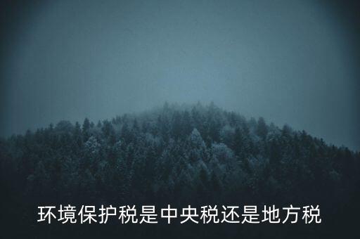 環(huán)境保護(hù)稅的機(jī)關(guān)是什么，環(huán)境保護(hù)稅由哪個(gè)機(jī)關(guān)負(fù)責(zé)征收