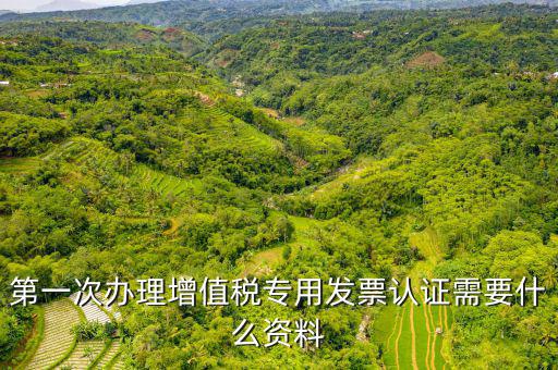 發(fā)票認證需要注意什么手續(xù)，第一次辦理增值稅專用發(fā)票認證需要什么資料