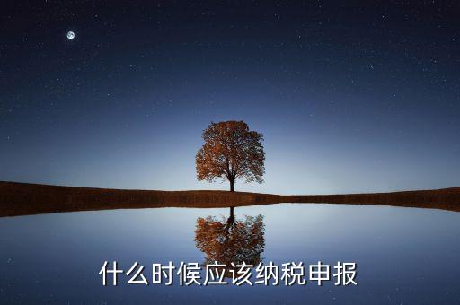 消費(fèi)稅什么時(shí)候申報(bào)，什么時(shí)候應(yīng)該納稅申報(bào)