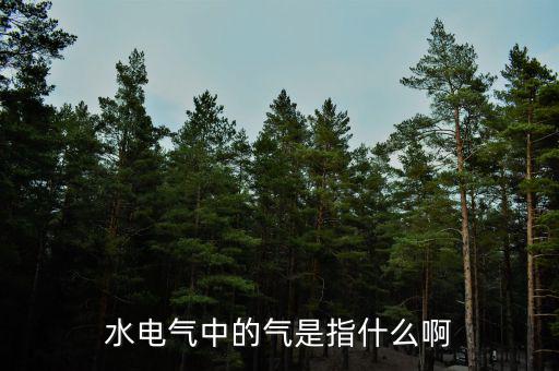 水電氣退稅氣指什么，公租房的水電氣的氣是指什么