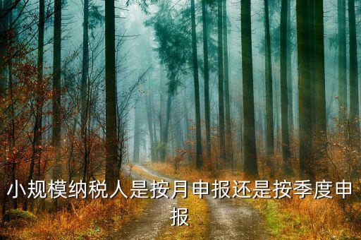 小規(guī)模納稅人按季申報是指什么，增值稅小規(guī)模納稅人按季申報怎么填