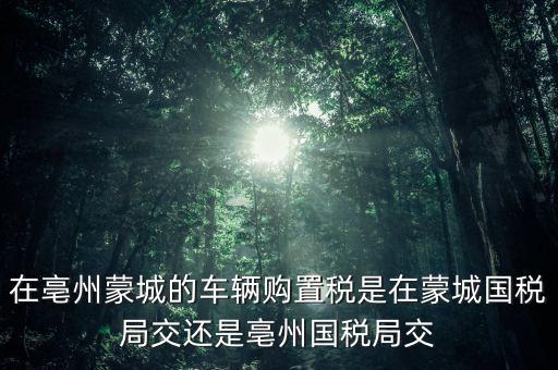 國稅局掛牌是什么意思，濮陽摩托辦照