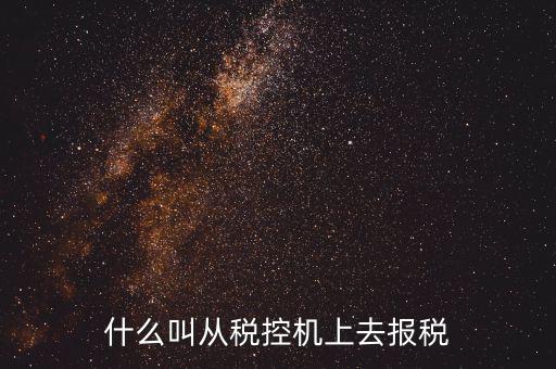 什么是稅控機的即時申報，稅控機申報記錄甚么意思