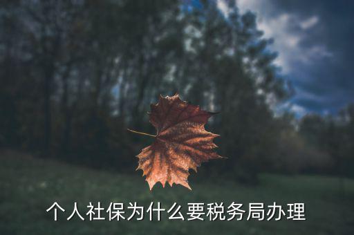 社會保險繳納和稅務局什么關系，社保為什么要稅務部門征收