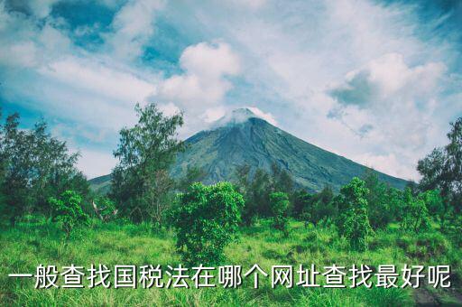 一般查找國稅法在哪個網址查找最好呢