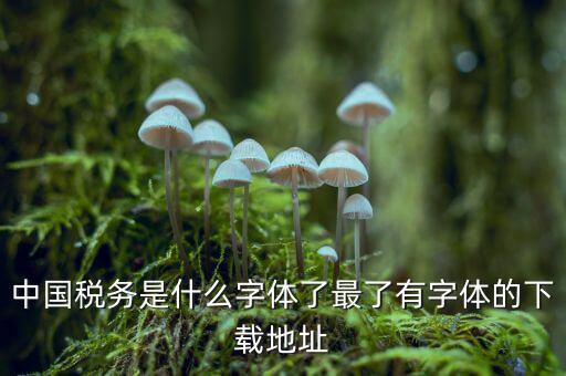 中國稅務(wù)是什么字體，中國稅務(wù)是什么字體了最了有字體的下載地址