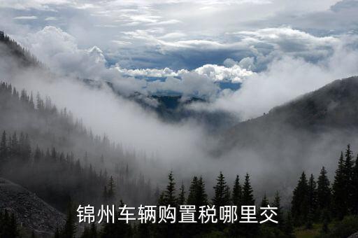 錦州國(guó)稅局車輛購(gòu)置部門是什么，錦州機(jī)動(dòng)車購(gòu)置稅在哪里交