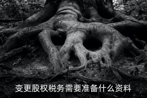 股權(quán)變更完稅憑證需要什么資料，變更股權(quán)稅務(wù)需要準(zhǔn)備什么資料