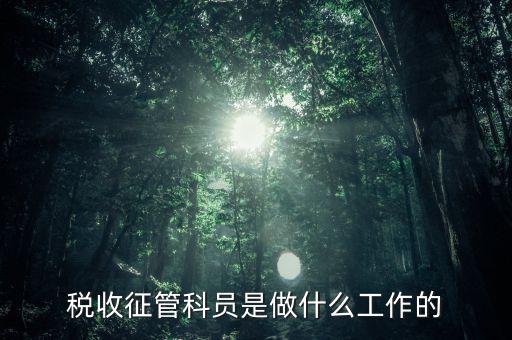 國稅局征管員和企業(yè)要做什么，稅收征管的公務(wù)員主要做什么工作