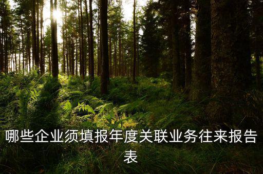 哪些企業(yè)須填報年度關(guān)聯(lián)業(yè)務(wù)往來報告表