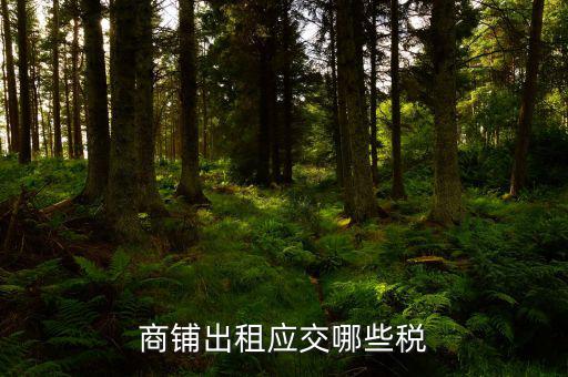 門面租賃稅是什么，商鋪出租應(yīng)交哪些稅