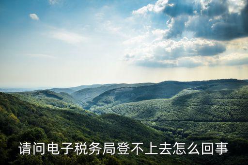 貴州省電子稅務(wù)局為什么進(jìn)不去，請問電子稅務(wù)局登不上去怎么回事