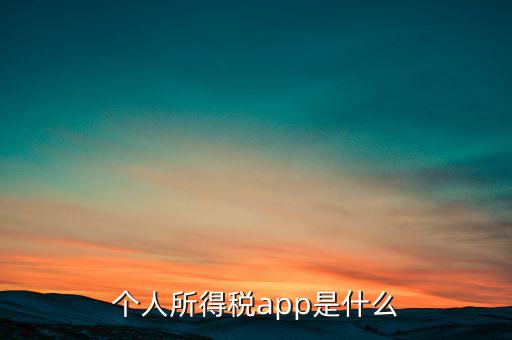 網(wǎng)上交稅要下載什么東西，個(gè)人所得稅官網(wǎng)登錄企業(yè)個(gè)人所得稅要下載什么端口申報(bào)
