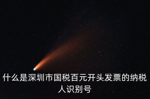 什么是深圳市國稅百元開頭發(fā)票的納稅人識(shí)別號(hào)