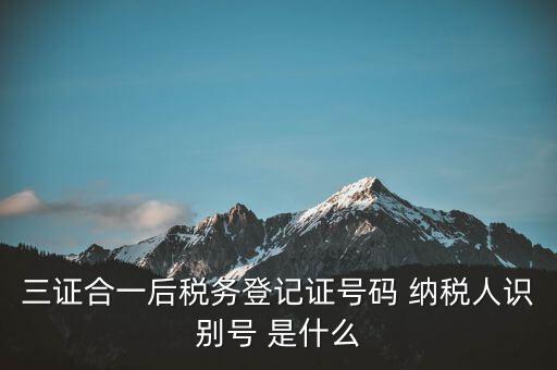 三證合一納稅識(shí)別號(hào)是什么，三證合一后納稅人識(shí)別號(hào)是什么意思