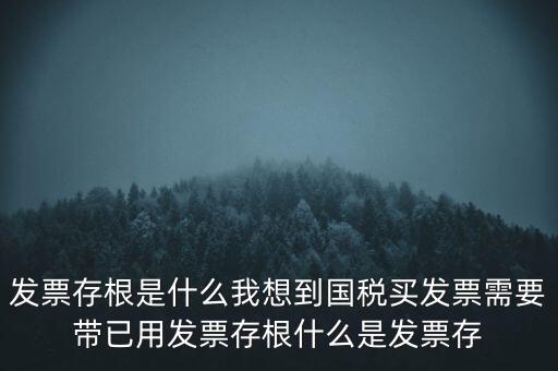 發(fā)票電子存根是什么，發(fā)票存根是什么