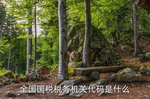 國(guó)稅的用戶(hù)代碼是什么，國(guó)稅局發(fā)票軟件里用戶(hù)代碼和密碼是什么
