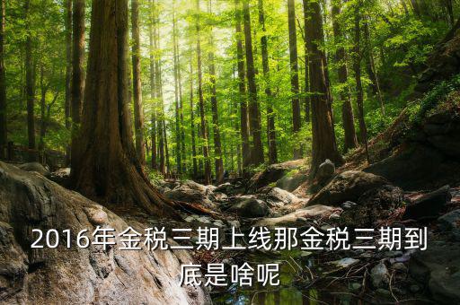 什么是進稅三期，金稅三期是什么意思