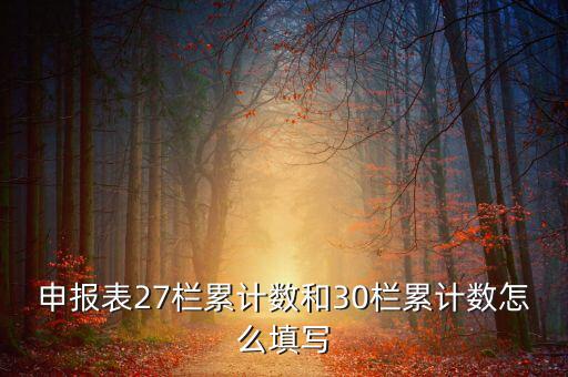 什么是期初未繳稅額，申報表27欄累計(jì)數(shù)和30欄累計(jì)數(shù)怎么填寫