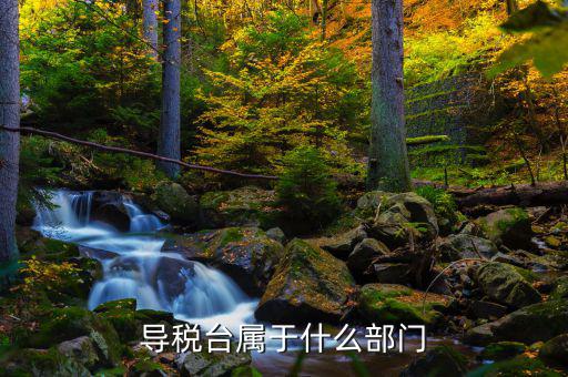 導稅臺屬于什么部門