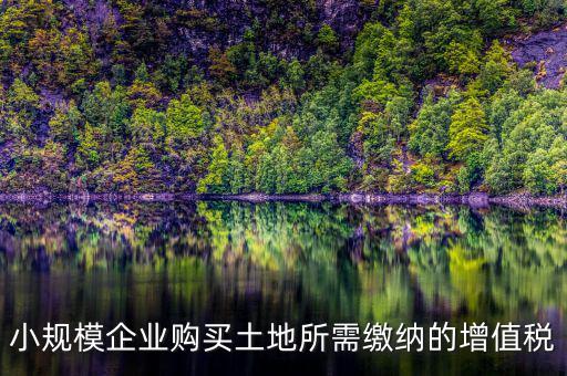公司購買土地需要交什么稅，小規(guī)模企業(yè)購買土地所需繳納的增值稅