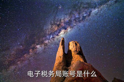 浙江省網(wǎng)上稅務(wù)局的賬號(hào)是什么意思，電子稅務(wù)局賬號(hào)是什么號(hào)碼