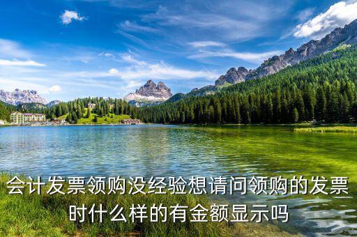 會計(jì)發(fā)票領(lǐng)購沒經(jīng)驗(yàn)想請問領(lǐng)購的發(fā)票時(shí)什么樣的有金額顯示嗎