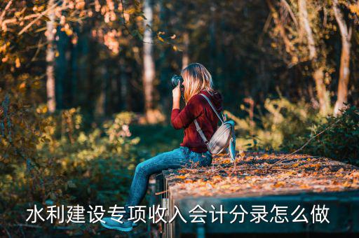 水利建設(shè)專項(xiàng)收入是什么，水利建設(shè)專項(xiàng)收入會計(jì)分錄怎么做