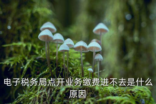 為什么江蘇省電子稅務(wù)局進(jìn)不去，請(qǐng)問電子稅務(wù)局登不上去怎么回事