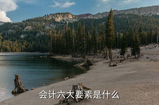 六大協(xié)查要素是什么，會計六大要素是什么