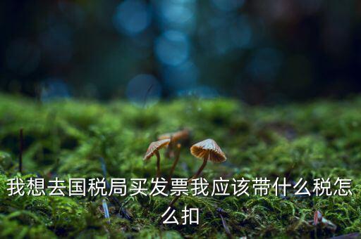 去國稅局扣稅需帶什么，我想去國稅局買發(fā)票我應(yīng)該帶什么稅怎么扣