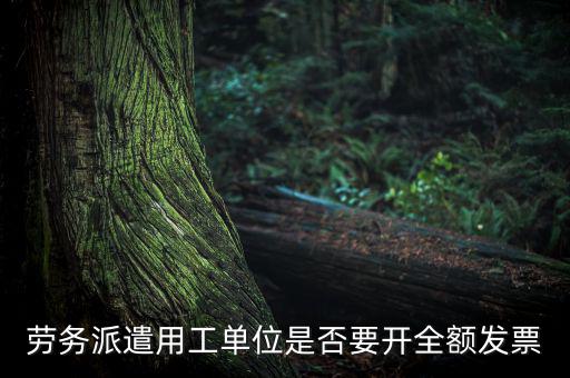 勞務(wù)派遣開什么票，勞務(wù)派遣小時(shí)工發(fā)票怎么開