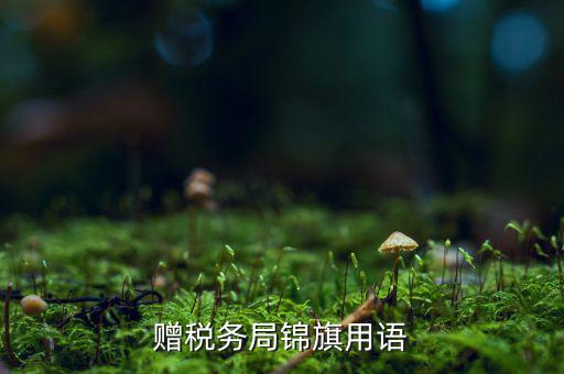 送錦旗給稅局可以寫(xiě)什么內(nèi)容，贈(zèng)稅務(wù)局錦旗用語(yǔ)
