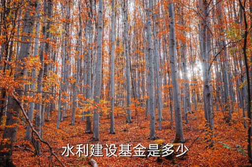 水利建設(shè)基金什么行業(yè)，水利工程這個(gè)專業(yè)畢業(yè)就業(yè)是什么行業(yè)的工作詳細(xì)工作類別