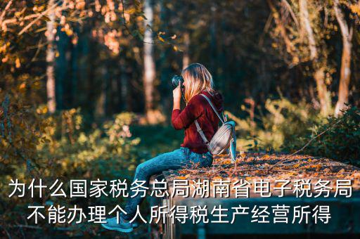 電子稅務(wù)局里面為什么沒(méi)有個(gè)稅，個(gè)人所得稅查不到怎么回事