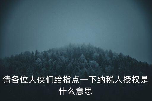 納稅人獲得感是什么意思，請各位大俠們給指點(diǎn)一下納稅人授權(quán)是什么意思