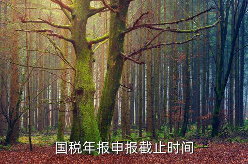 新疆國(guó)稅申報(bào)11月的什么時(shí)候結(jié)束，國(guó)稅年報(bào)申報(bào)截止時(shí)間