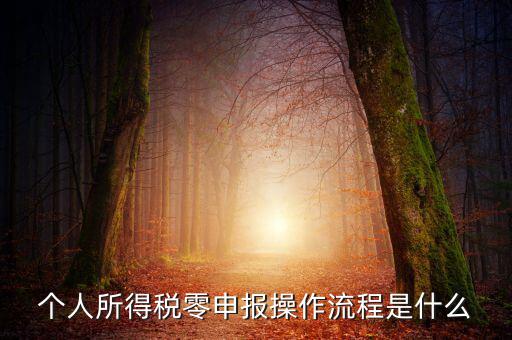 扣繳稅款登記主要流程是什么，納稅流程是怎樣的