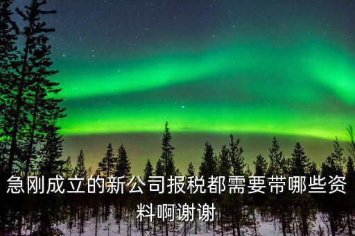 報(bào)稅要帶什么資料，增值稅報(bào)稅都要準(zhǔn)備哪些資料