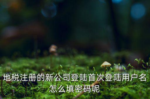 河北省地稅注冊(cè)用戶名是什么，稅務(wù)用戶名是什么啊