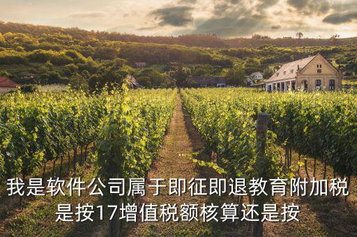 軟件企業(yè)交什么稅，軟件企業(yè)增值稅即征即退指的是什么