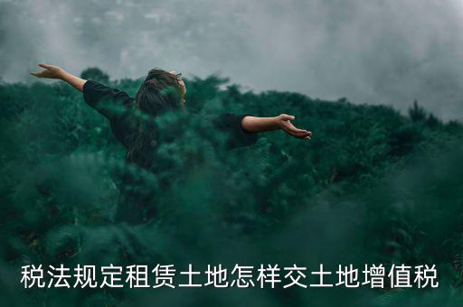 租用土地要交什么稅，土地租賃應該繳哪些稅收