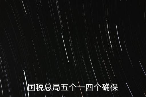 稅務(wù)局五個(gè)一是什么時(shí)候，國稅總局五個(gè)一四個(gè)確保