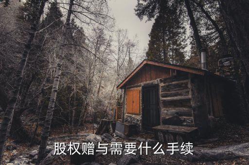 股權(quán)贈(zèng)與稅務(wù)局需要什么手續(xù)，2012年股權(quán)轉(zhuǎn)讓稅務(wù)局所需資料是哪些