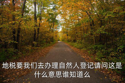 辦稅自然人登記是什么意思，申請人為自然人的是什么意思